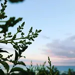 Alloggio per agriturismo Bio Mare In Campagna