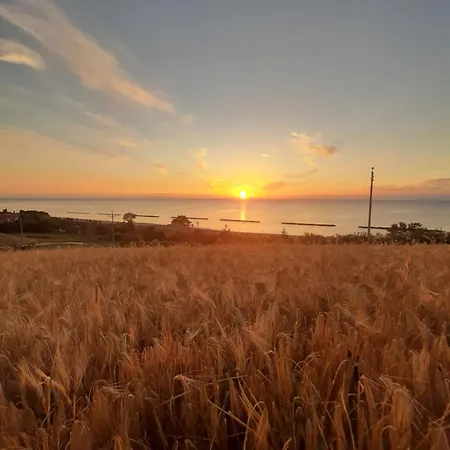 Bio Mare In Campagna Campofilone