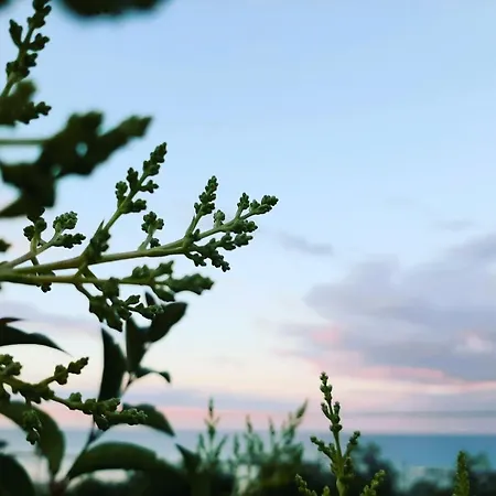 Alloggio per agriturismo Bio Mare In Campagna