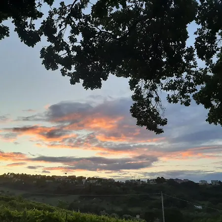 Bio Mare In Campagna Farm stay Campofilone