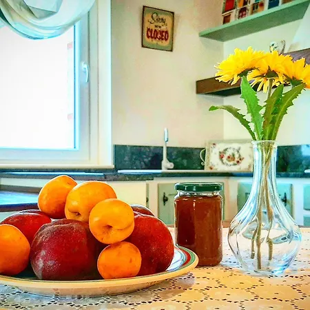 Farm stay Bio Mare In Campagna *
