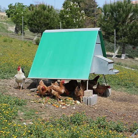 Bio Mare In Campagna Campofilone