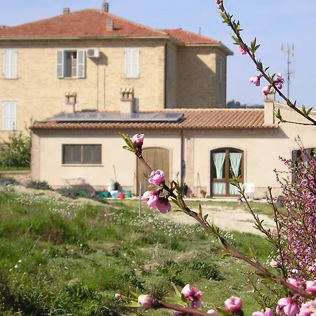Bio Mare In Campagna