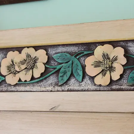 农家乐 Bio Mare In Campagna *