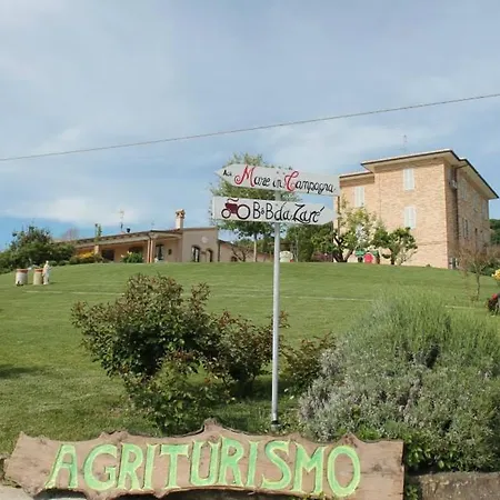 Bio Mare In Campagna *