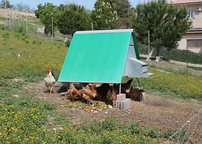 Bio Mare In Campagna Campofilone